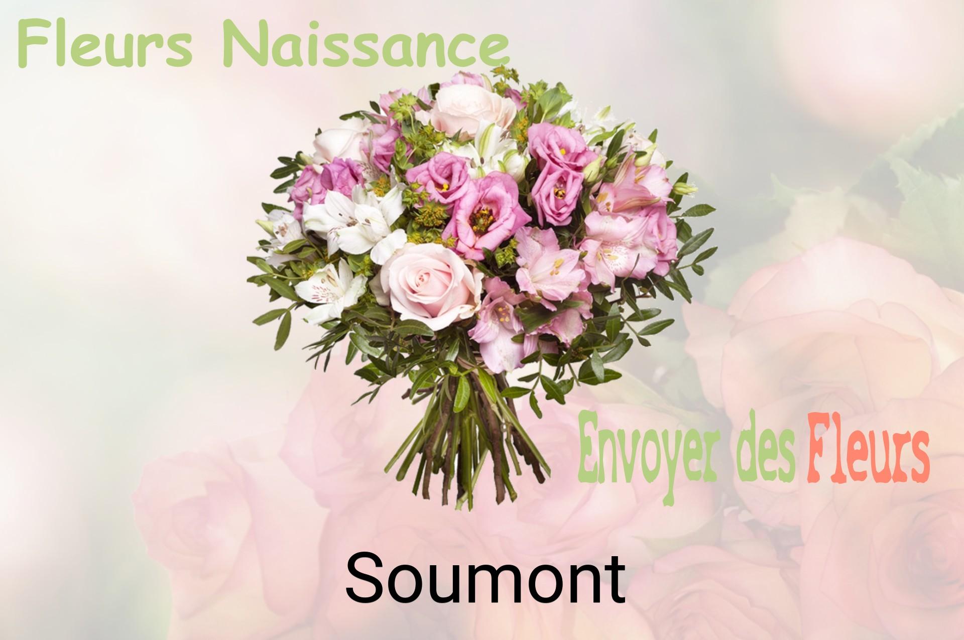 Bouquet de fleurs de naissance livré à Soumont
